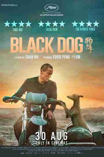 Black Dog Poster