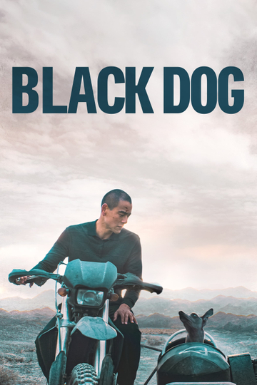 Black Dog Poster