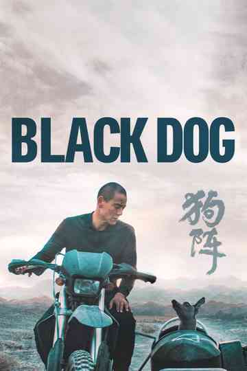 Black Dog poster