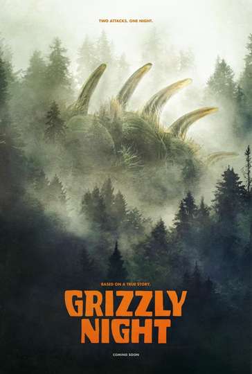 Grizzly Night Poster