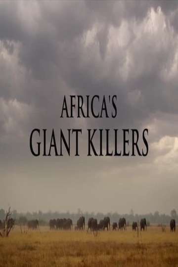 Africa's Giant Killers Poster