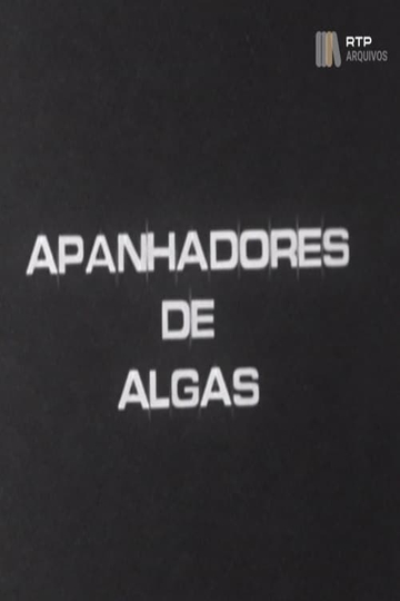 Apanhadores de Algas