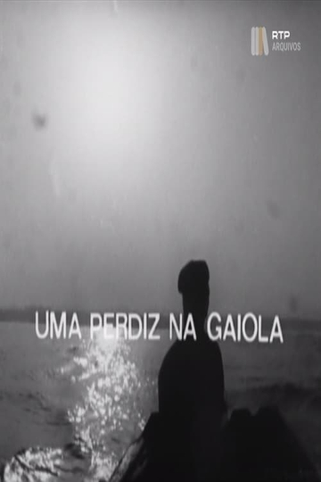 Uma Perdiz na Gaiola Poster