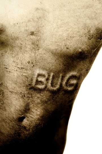 Bug Poster