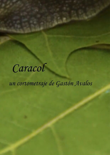 Caracol