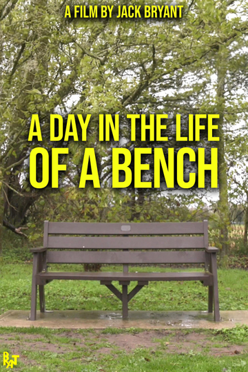 A Day in the Life of a Bench