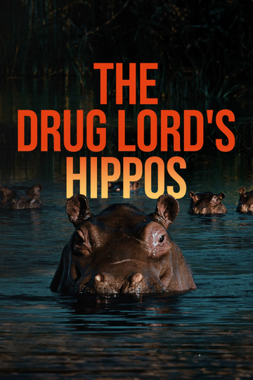 The Drug Lord's Hippos