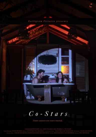 Co-Stars Poster