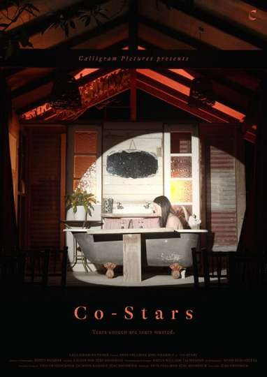 Co-Stars Poster