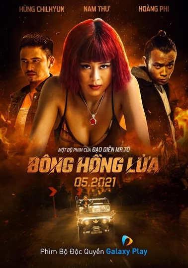 Bông Hồng Lửa Poster