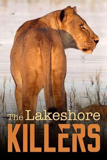 The Lakeshore Killers Poster