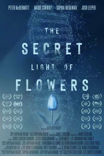 The Secret Light of Flowers Poster