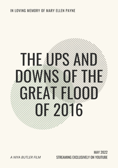 The Ups and Downs of the Great Flood of 2016 Poster