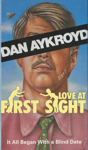 Love at First Sight Poster