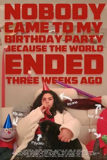 Nobody Came to My Birthday Party Because the World Ended Three Weeks Ago Poster