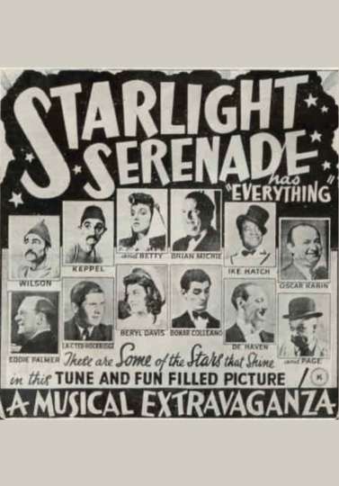 Starlight Serenade Poster