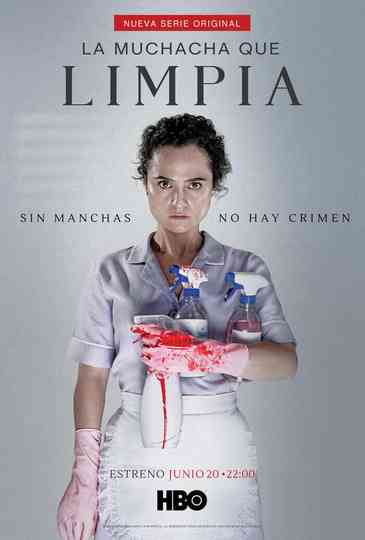 La muchacha que limpia poster