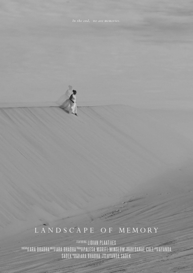 Landscape of Memory