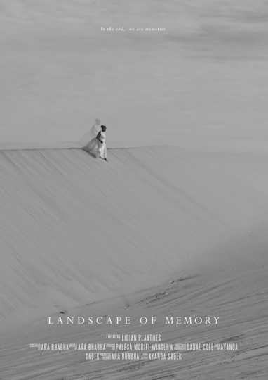 Landscape of Memory