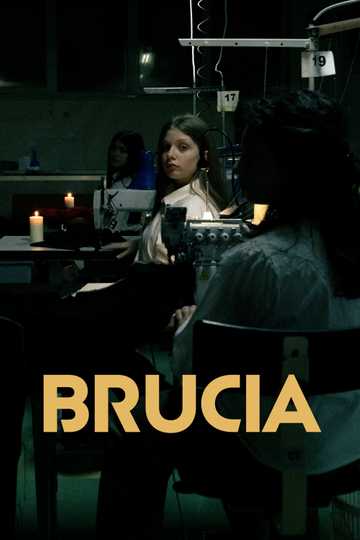 Brucia