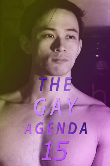 The Gay Agenda 15 Poster