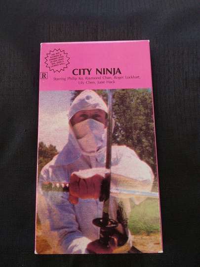 City Ninja Poster
