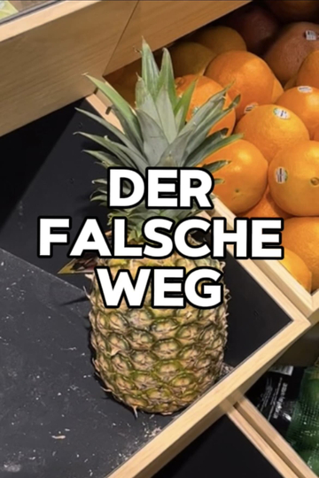 DER FALSCHE WEG