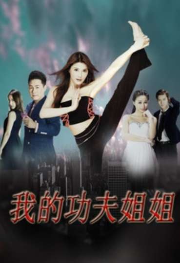 Wo De Gong Fu Jie Jie Poster