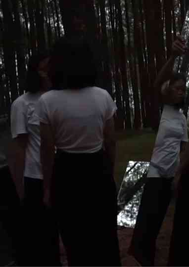 In The Pines