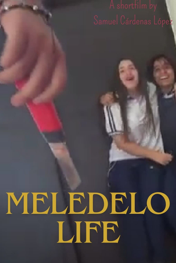 MELEDELO LIFE Poster