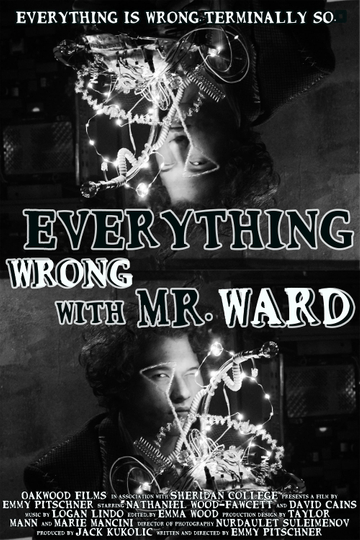 Everything Wrong with Mr. Ward Poster