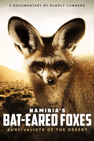 Namibia's Bat-eared Foxes: Survivalists of the Desert Poster