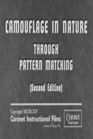 Camouflage In Nature: Through Pattern Matching (Second Edition)
