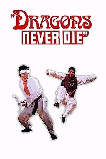 Kung Fu 10th Dan Poster