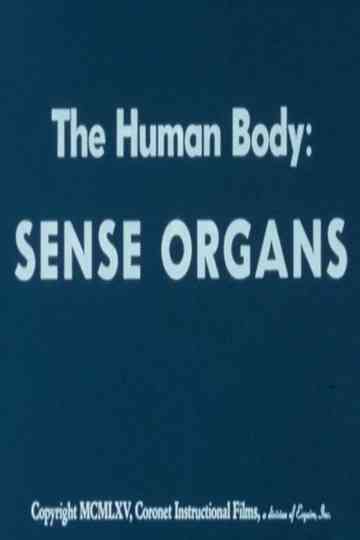The Human Body: Sense Organs