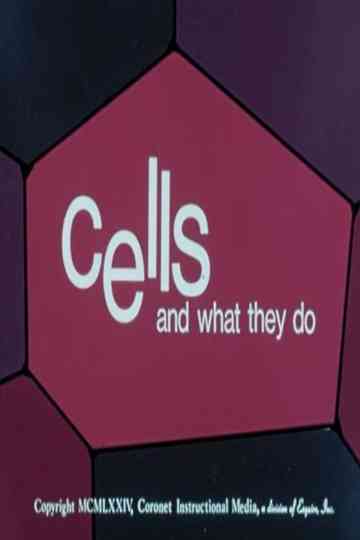 Cells and What They Do
