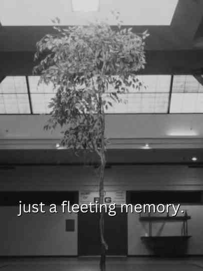 just a fleeting memory.