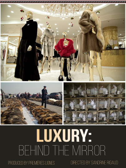 Luxury: Behind The Mirror