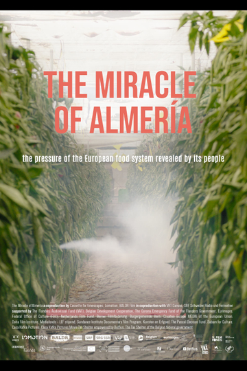 The Miracle of Almería