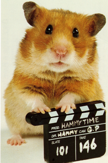 Once Upon a Hamster Poster