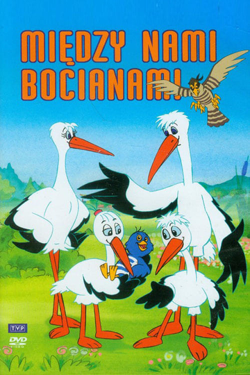 Między nami bocianami Poster