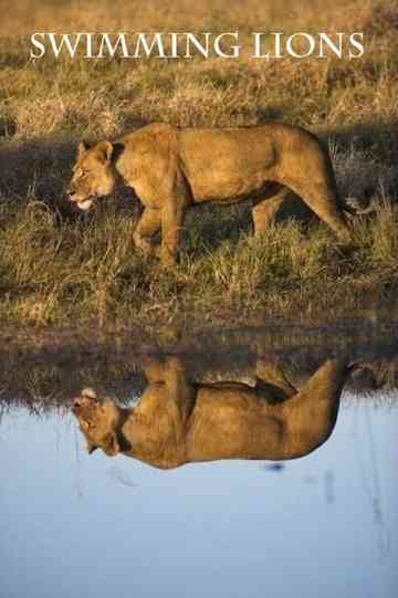 Swimming Lions