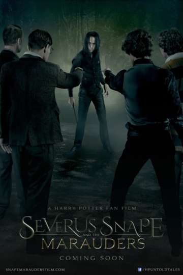 Severus Snape and the Marauders Poster