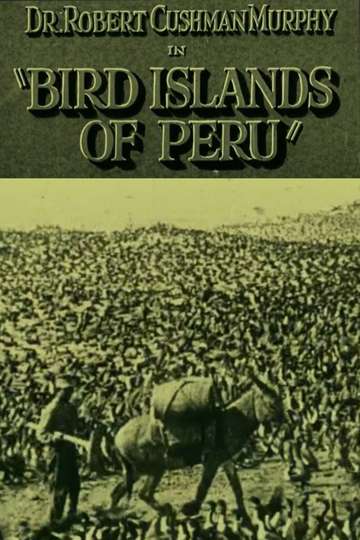 Bird Islands of Peru Poster