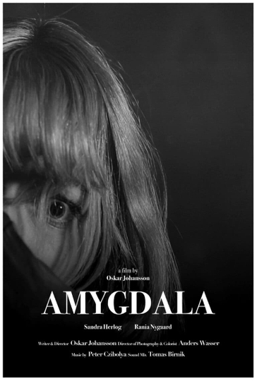 Amygdala Poster