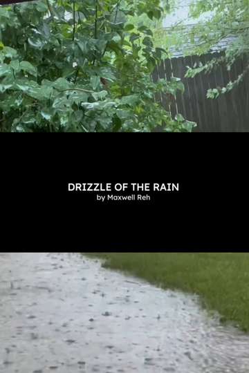 Drizzle of the Rain Poster