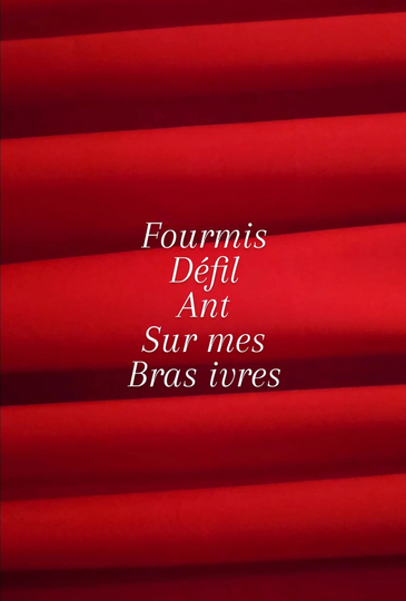 Fourmis défilant sur mes bras ivres. Poster