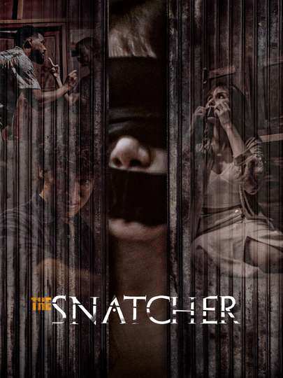 The Snatcher Poster
