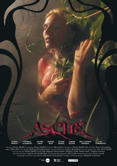 Asche Poster