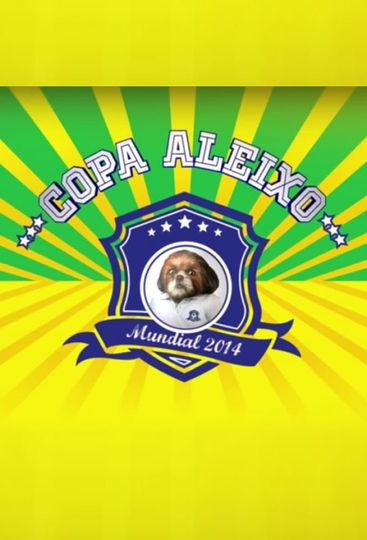 Copa Aleixo 2014 Poster